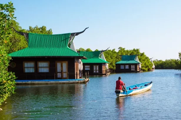 The River Gambia offers a variety of river-based tourism including cruises, fishing and wildlife excursions. Photo Credit: The Gambia Tourism Board