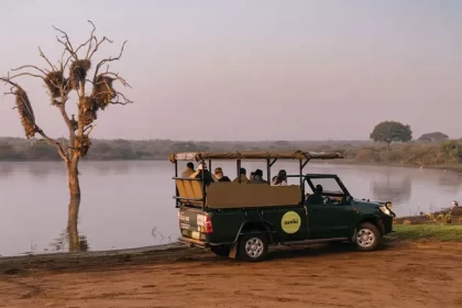 Contiki has launched four new itineraries in Africa after seeing a notable increase in safari bookings. Photo Credit: Contiki