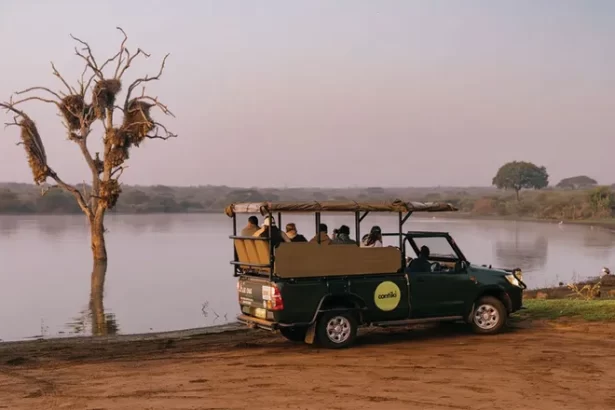Contiki has launched four new itineraries in Africa after seeing a notable increase in safari bookings. Photo Credit: Contiki