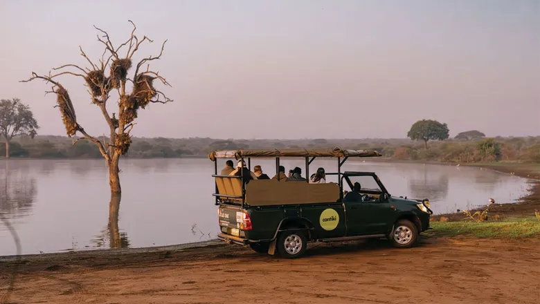 Contiki has launched four new itineraries in Africa after seeing a notable increase in safari bookings. Photo Credit: Contiki